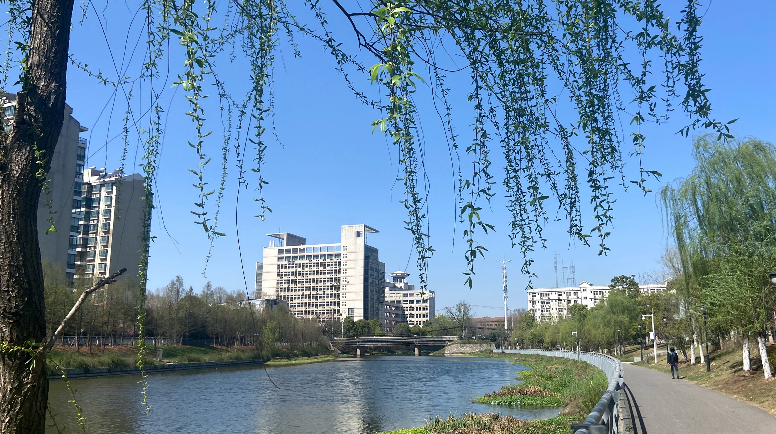 湖北工业大学 巡司河畔